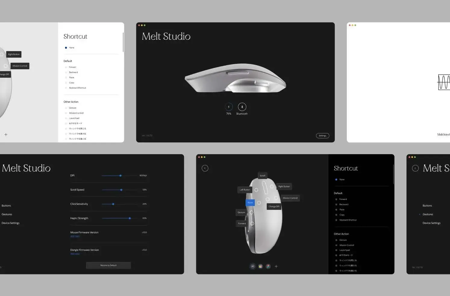 Melt Studio software